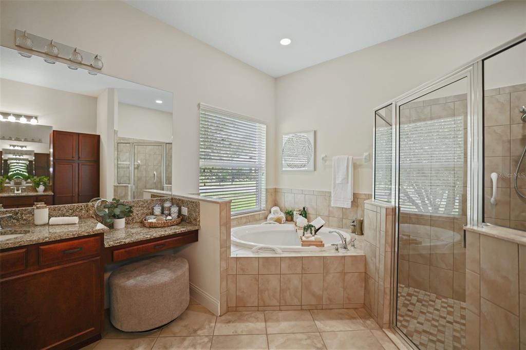 27211 Hawks Nest Circle Wesley Chapel, FL 33544 - Photo 27 of 58 a bathroom with a tub sink and mirror