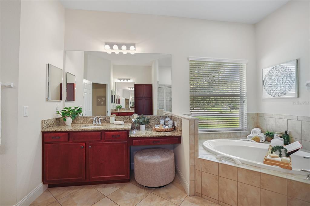 27211 Hawks Nest Circle Wesley Chapel, FL 33544 - Photo 28 of 58 a bathroom with a granite countertop sink and a mirror
