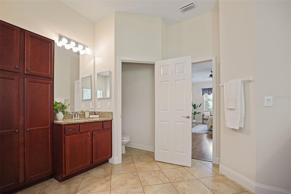 27211 Hawks Nest Circle Wesley Chapel, FL 33544 - Photo 29 of 58 a bathroom with a granite countertop sink and mirror