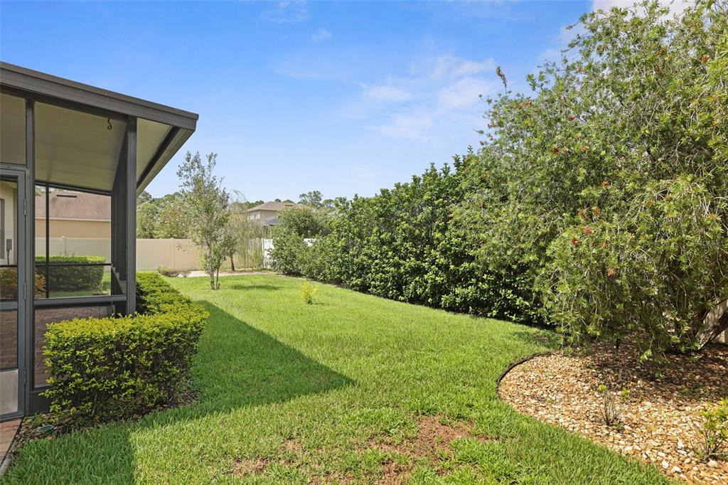 27211 Hawks Nest Circle Wesley Chapel, FL 33544 - Photo 44 of 58 a view of a backyard with garden