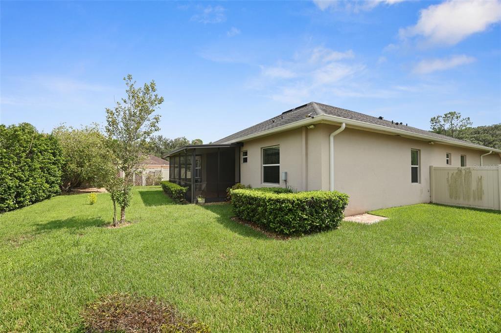 27211 Hawks Nest Circle Wesley Chapel, FL 33544 - Photo 45 of 58 a backyard of a house with table and chairs