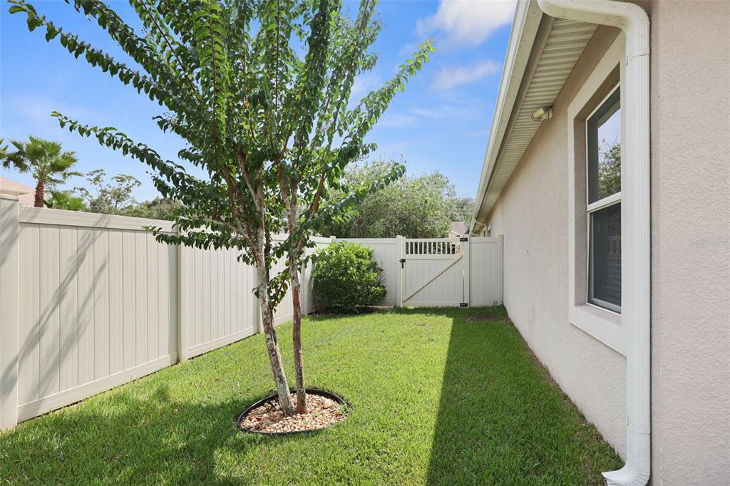 27211 Hawks Nest Circle Wesley Chapel, FL 33544 - Photo 48 of 58