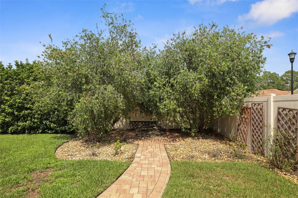 27211 Hawks Nest Circle Wesley Chapel, FL 33544 - Photo 49 of 58