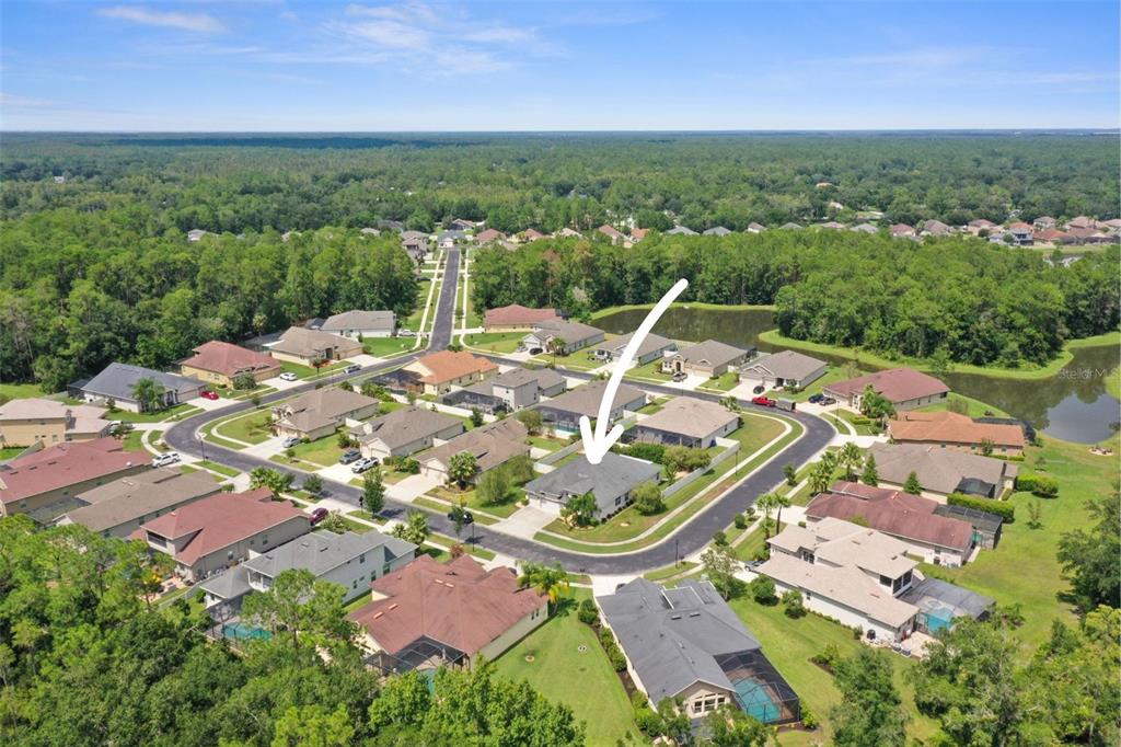 27211 Hawks Nest Circle Wesley Chapel, FL 33544 - Photo 54 of 58 an aerial view of a house with a garden