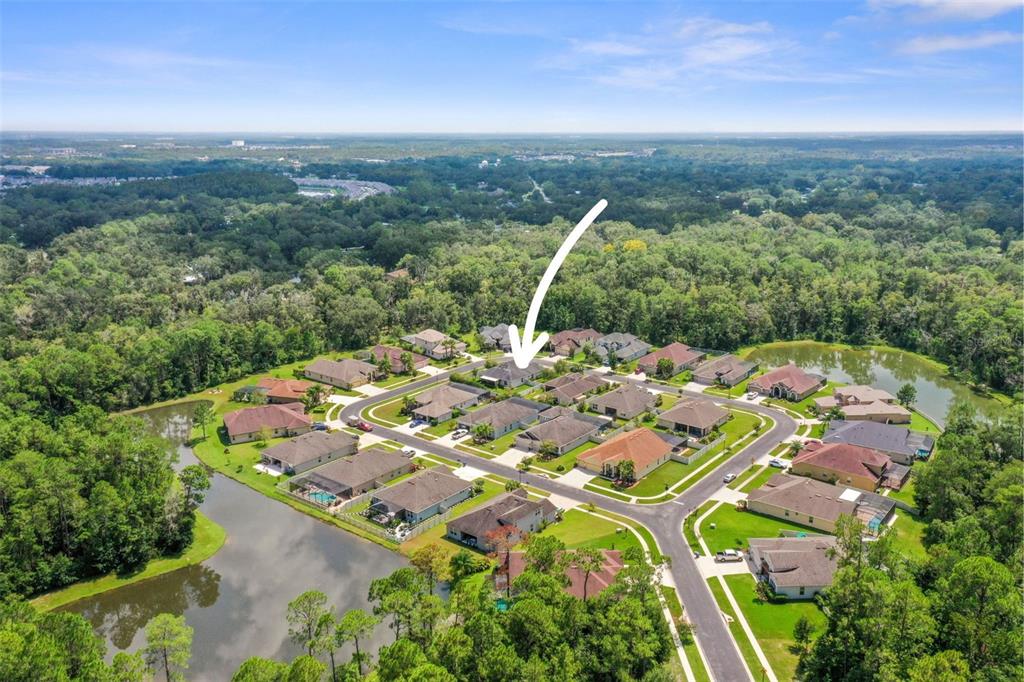 27211 Hawks Nest Circle Wesley Chapel, FL 33544 - Photo 56 of 58 an aerial view of a residential houses with city view