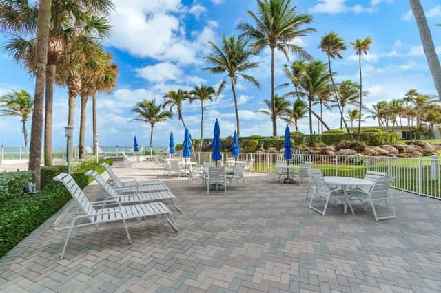a row of palm trees and swimming pool in the backyard of a house
