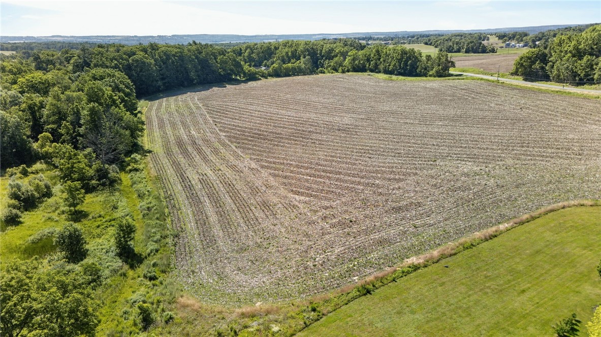 Cramer Road Canandaigua, NY 14424 - Photo 22 of 47