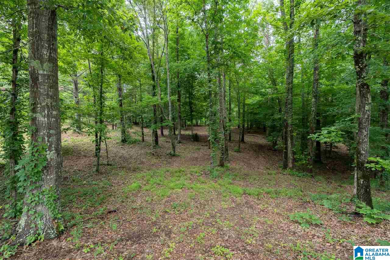 12363 Bama Rock Garden Road Vance, AL 35490 - Photo 45 of 48