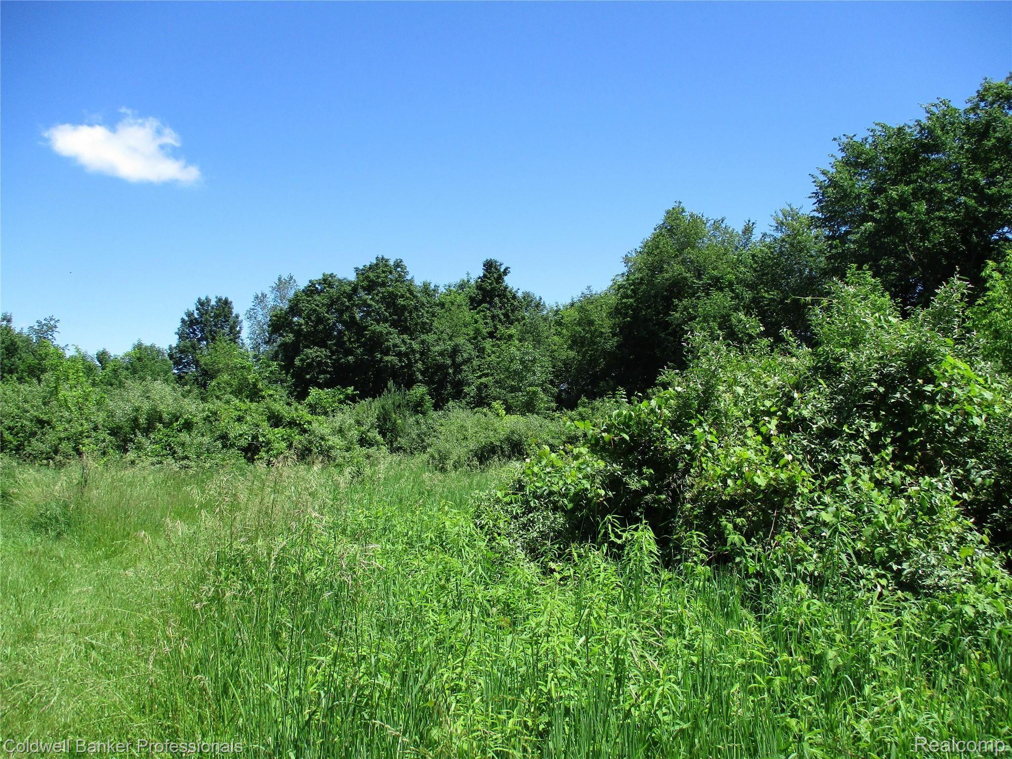 4405 East Lake Road Clio, MI 48420 - Photo 24 of 33 Lush foliage.JPG