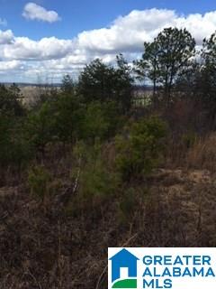 0 Henderson Lake Road, Unit 128 Munford, AL 36268 - Photo 24 of 31
