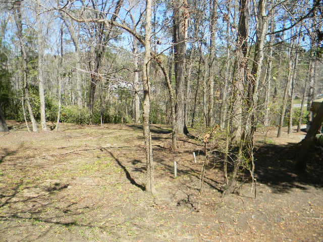 126 Pinckney Road Santee, SC 29142 - Photo 7 of 7 DSCN8296-1 (6)