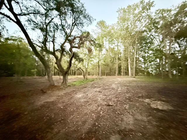 $140,000 | 191 Melrose Place, Moncks Corner, SC 29461