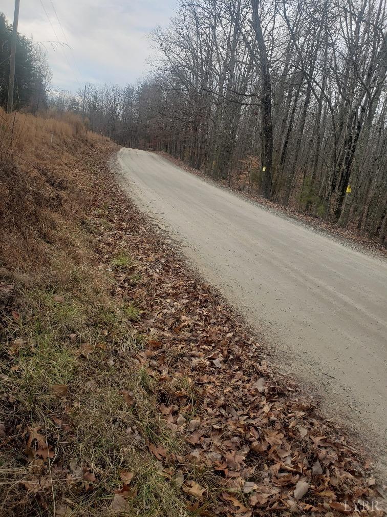 0 Mountain Creek Road Meherrin, VA 23954 - Photo 2 of 3 a view of a covered with snow on the road