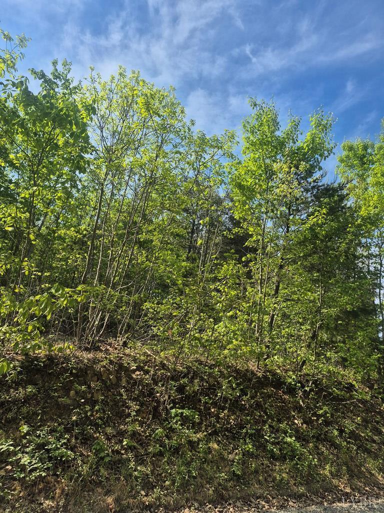 0 Mountain Creek Road Meherrin, VA 23954 - Photo 3 of 4