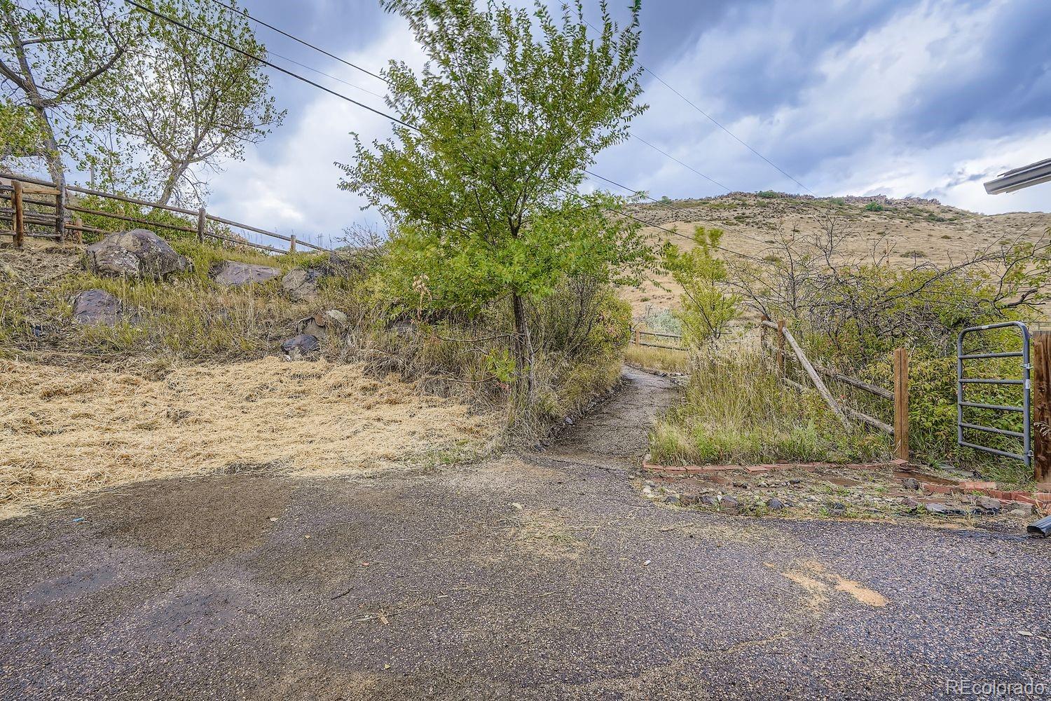 2127 Elderberry Road Golden, CO 80401 - Photo 34 of 43 a view of a yard with a large tree