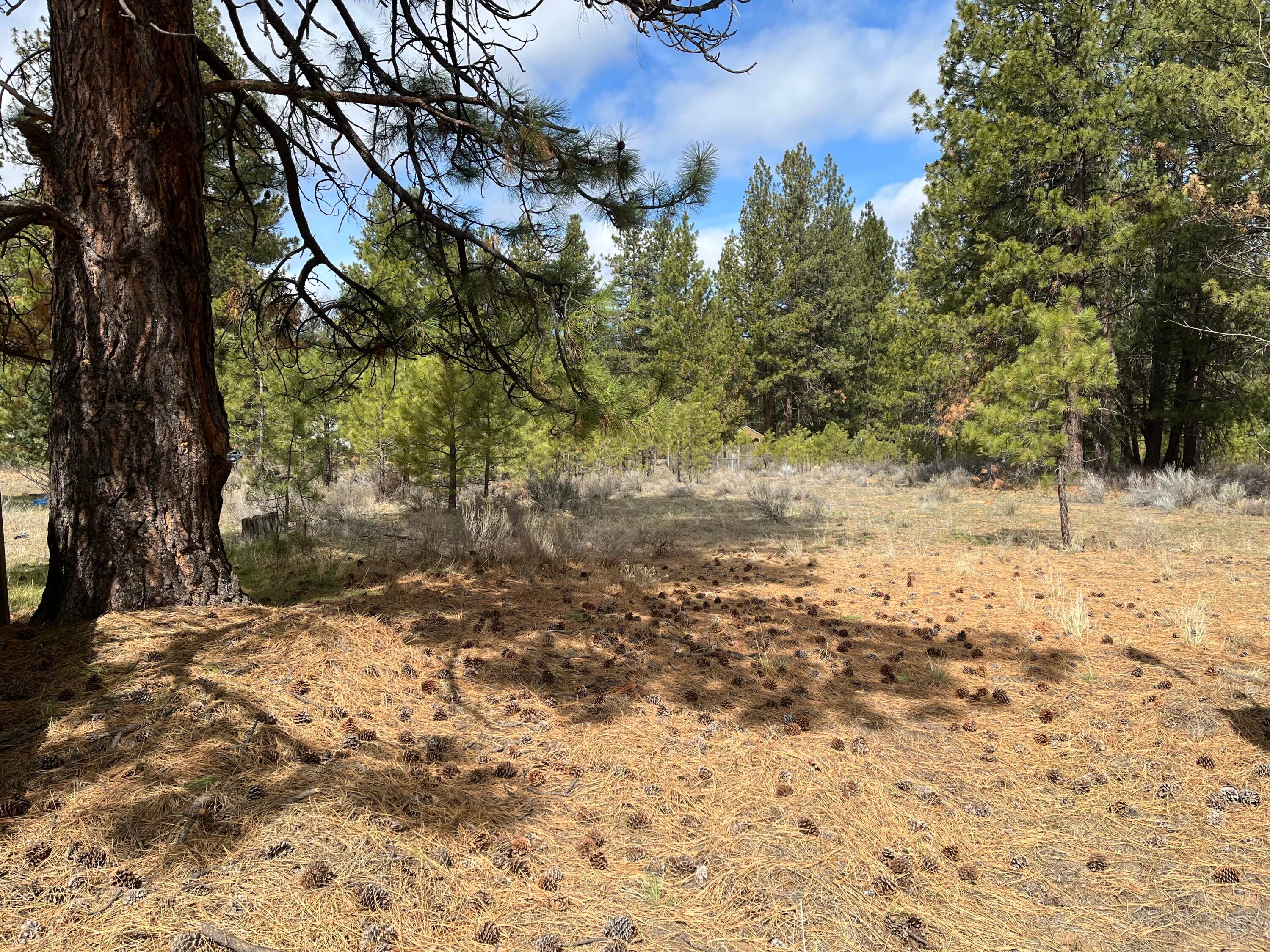 60069 Cheyenne Road Bend, OR 97702 - Photo 8 of 14 IMG-3456