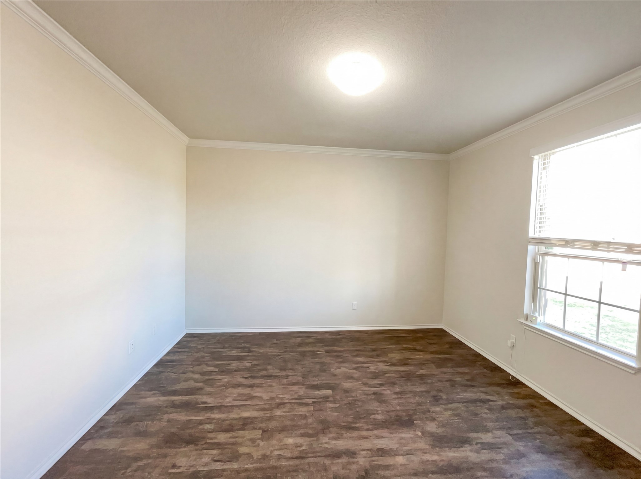 709 Hummingbird Lane Leander, TX 78641 - Photo 12 of 21