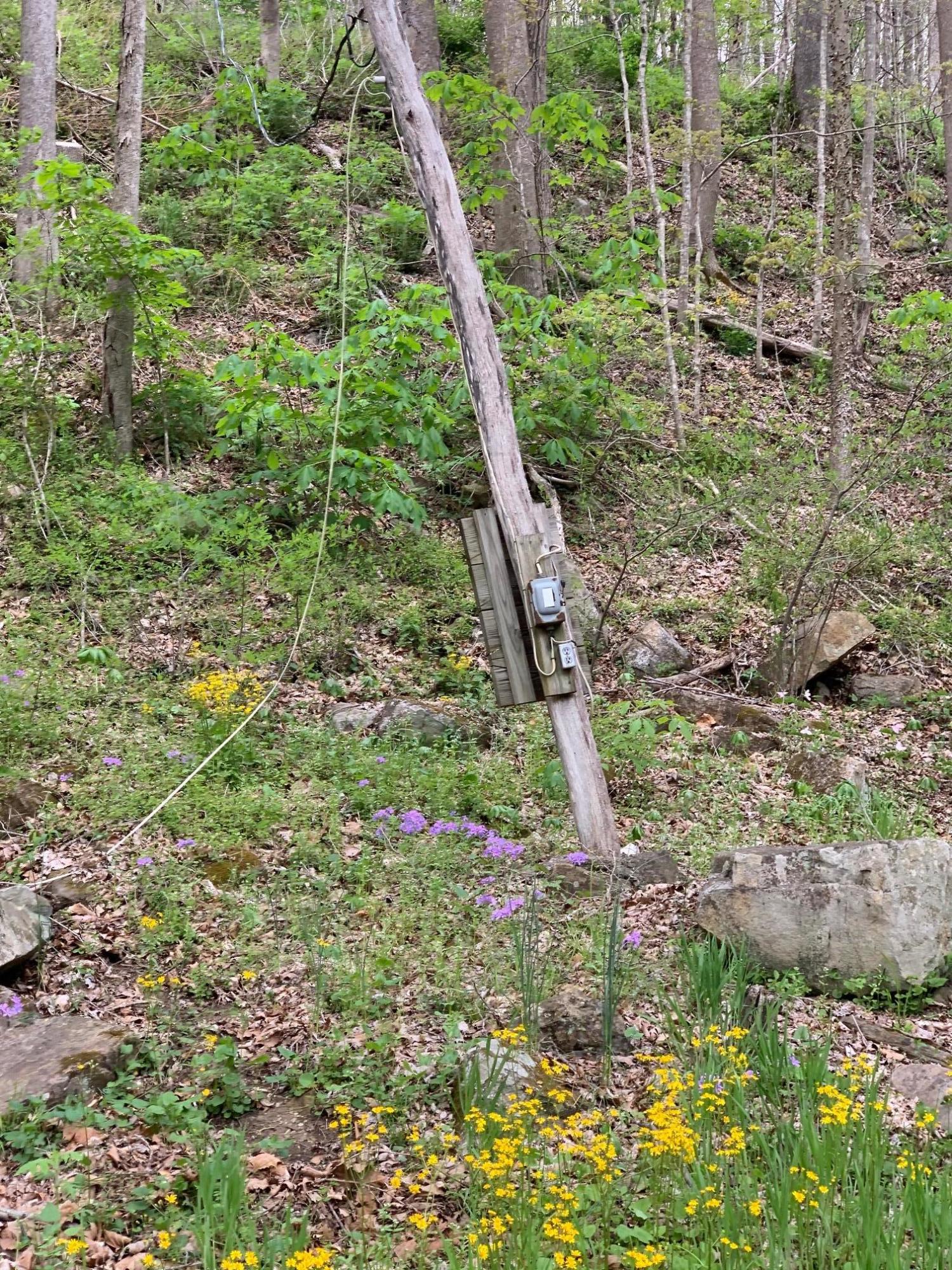 Lot 13 Fort Springs Road Sinks Grove, WV 24976 - Photo 3 of 21 Gallery Image 3
