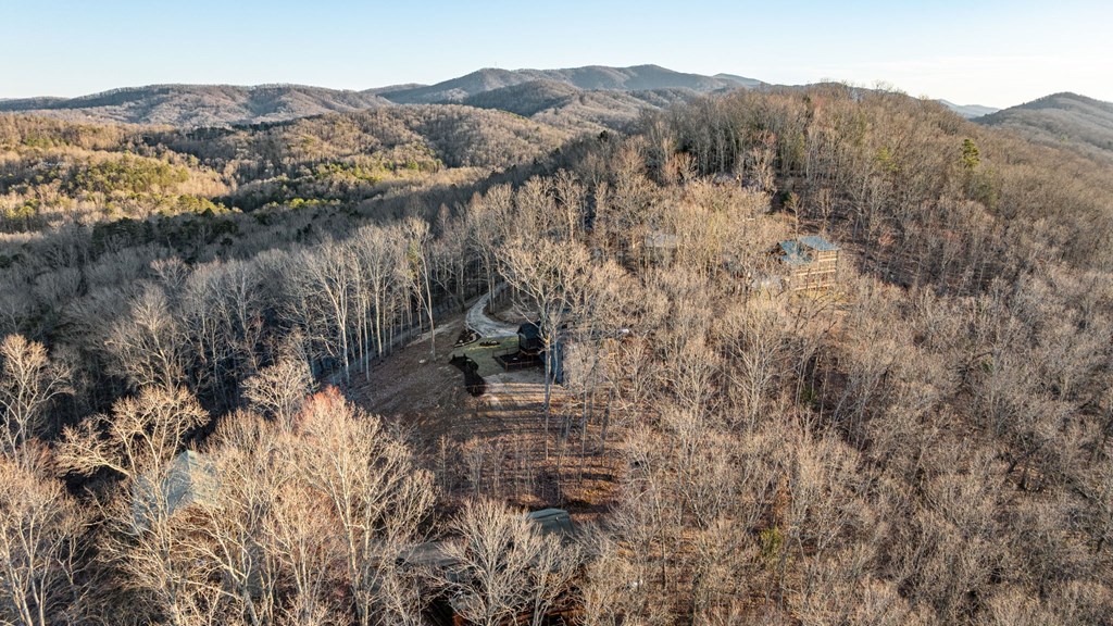 217 Eagles Nest Lane Blue Ridge, GA 30513 - Photo 62 of 91 Gallery Image 62