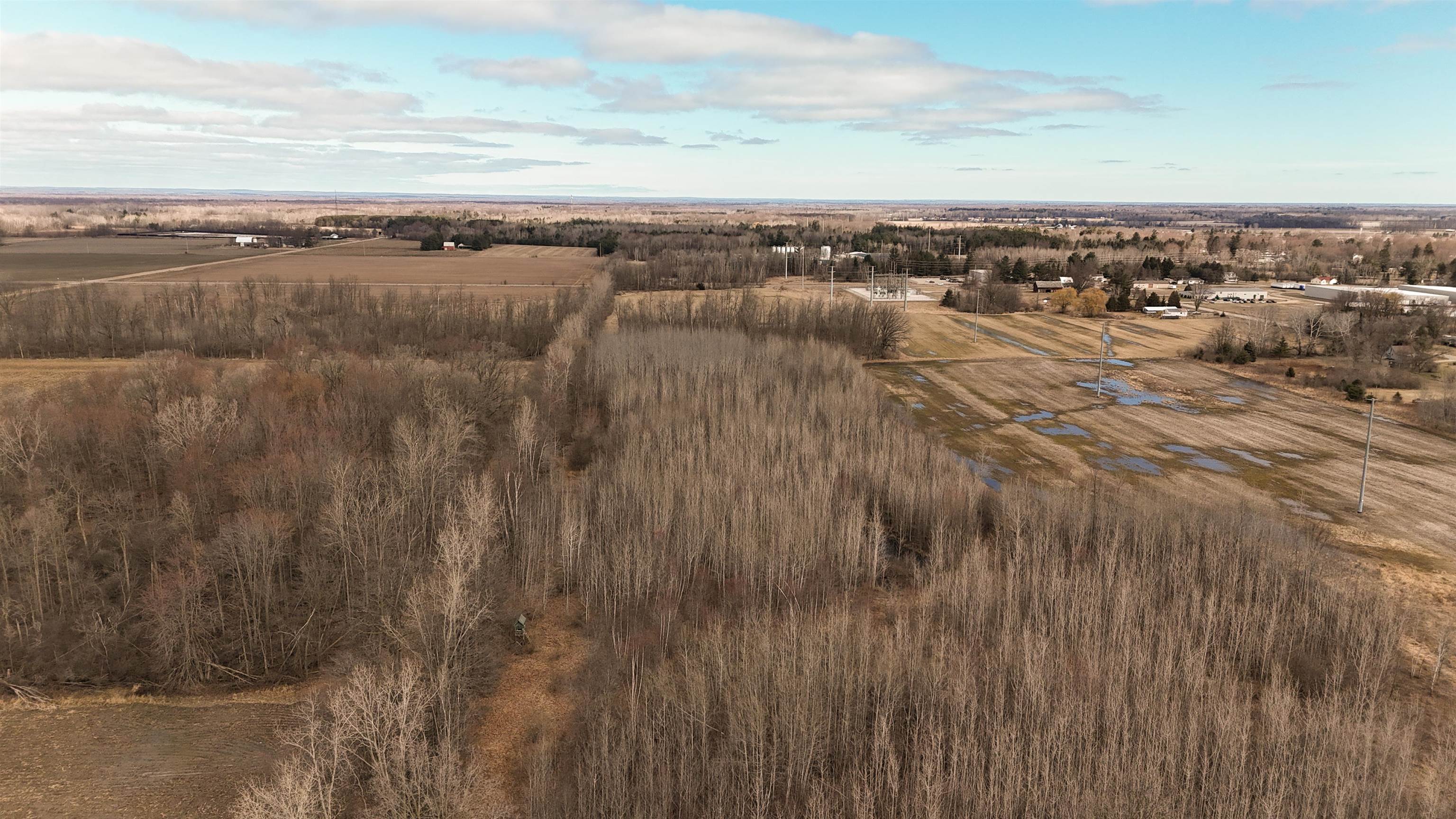 Tbd North Dickenson Road Coleman, MI 48618 - Photo 5 of 7