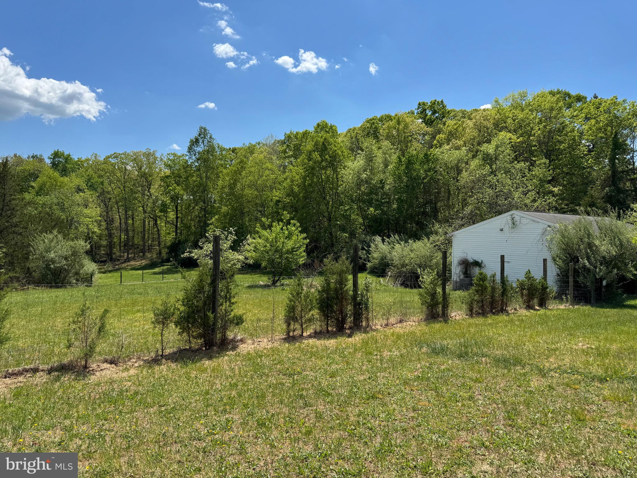 27520 Tatum Road Unionville, VA 22567 - Photo 24 of 31 Side yard