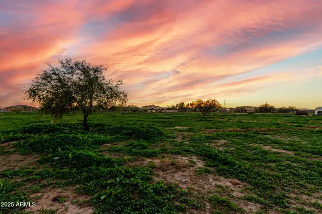 a view of a city with lush green forest