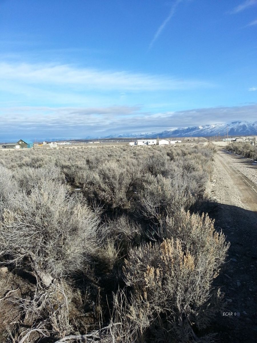 21-06 Pershing Avenue Spring Creek, NV 89815 - Photo 2 of 5