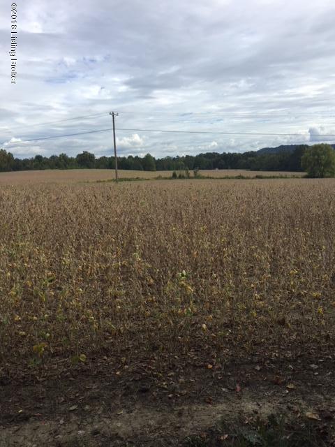 598 Old Boston Road Lebanon Junction, KY 40150 - Photo 2 of 2 Terry 2