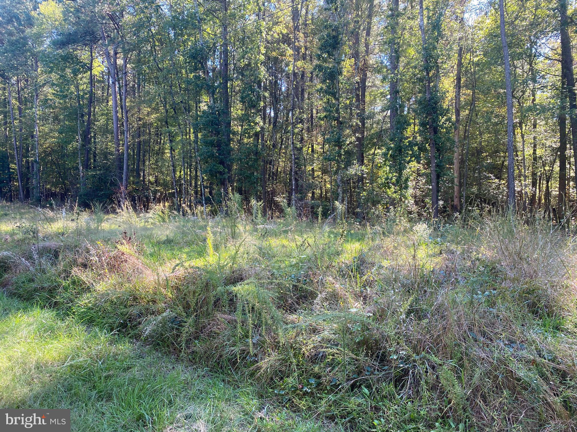 Petes Hill RD, Westover, MD