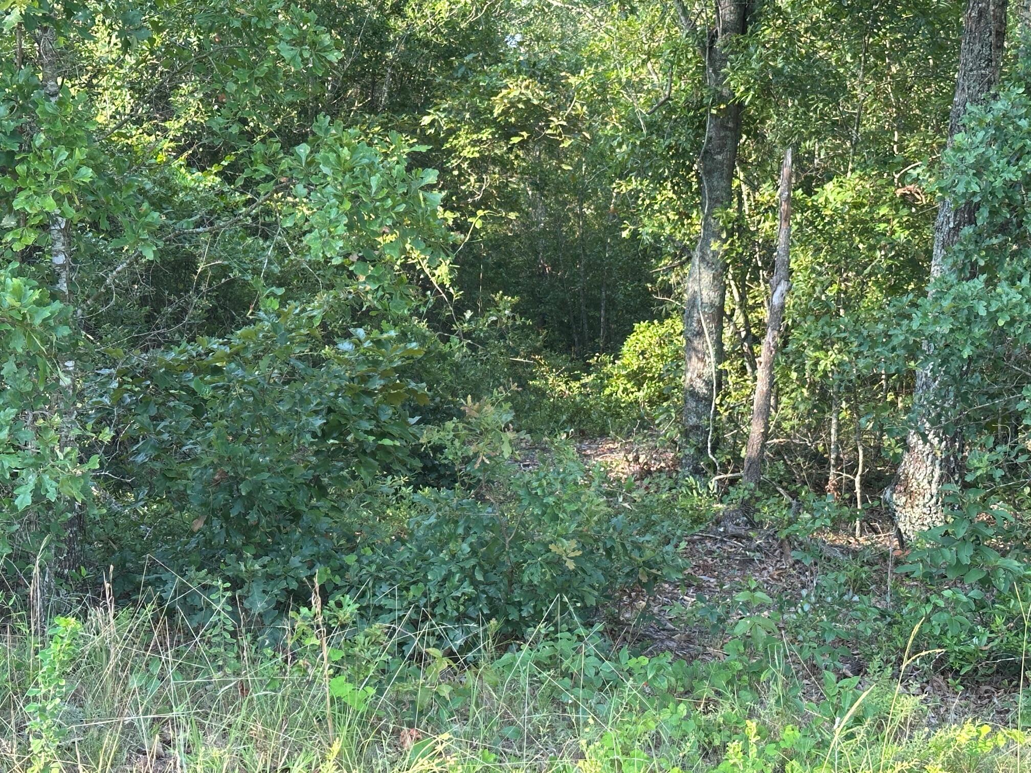 2576 Jessie James Pond Road Wrens, GA 30818 - Photo 44 of 47 IMG_4017