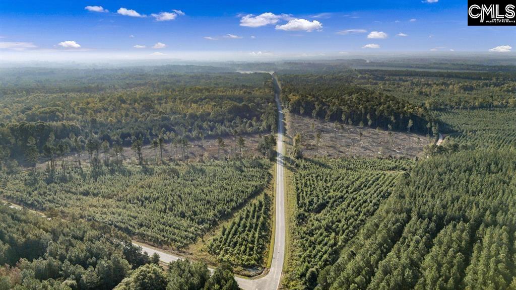 0 Fruit Hill Road Saluda, SC 29138 - Photo 17 of 17