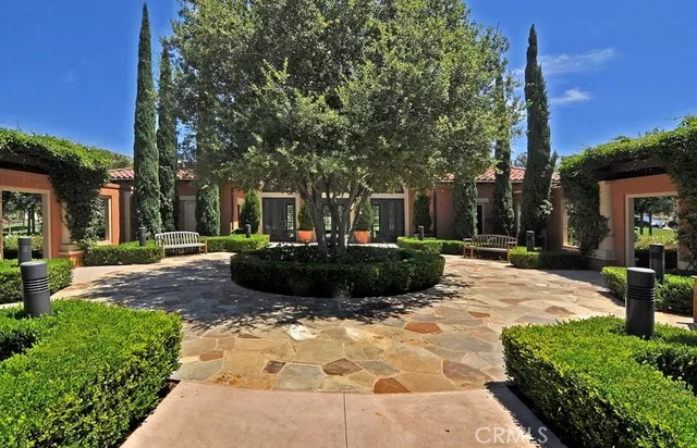 a view of a backyard with plants and tree