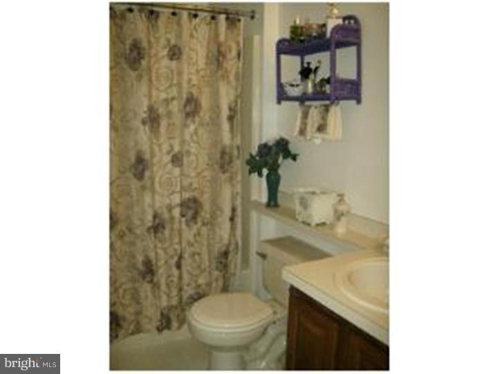 422 Paradise Road Williamstown, NJ 08094 - Photo 16 of 20 Bathroom