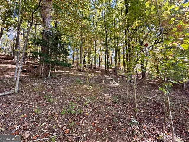 $299,000 | 0 Forked Leaf Road, Unit 29, Cleveland, GA 30528