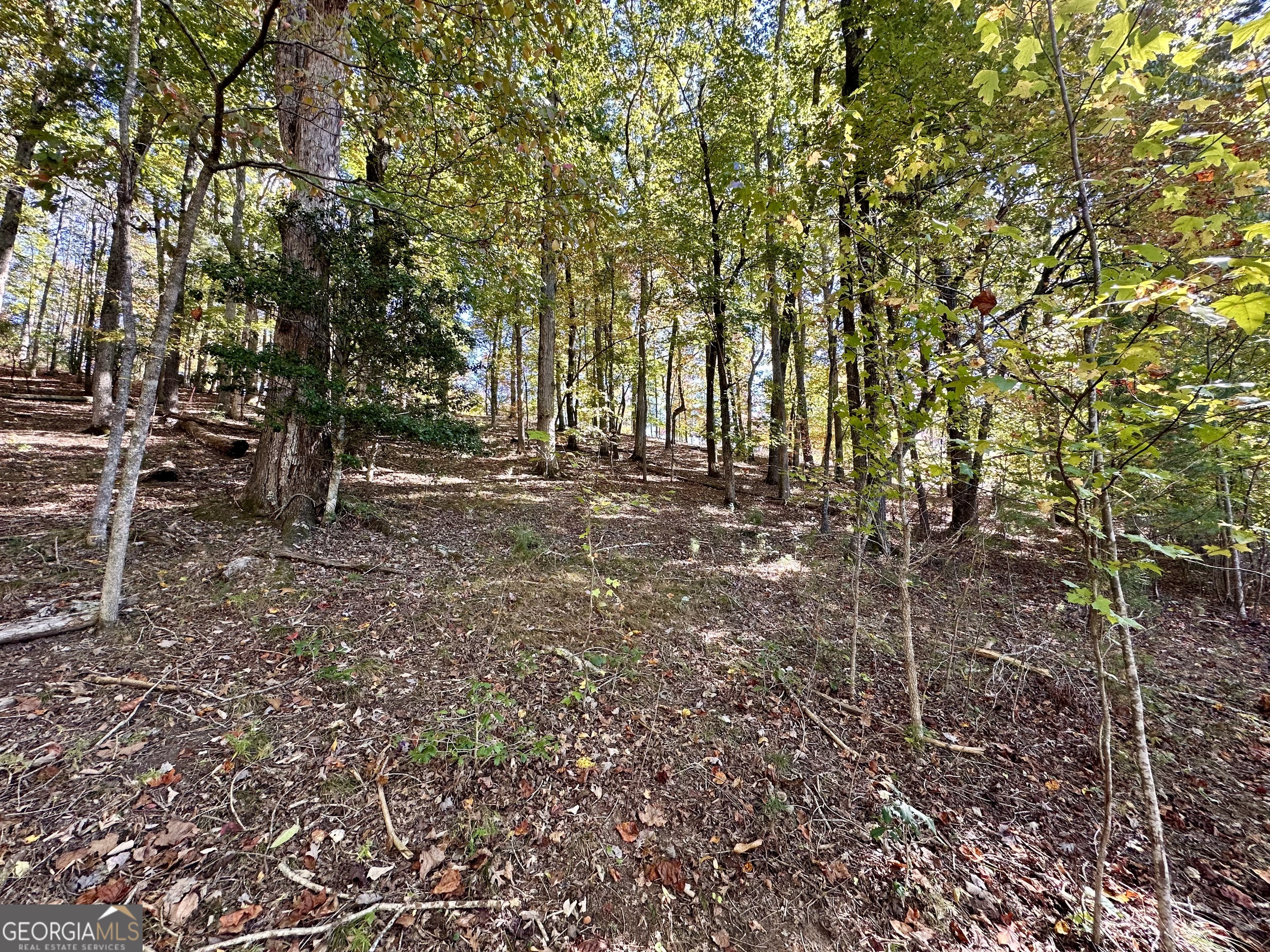 0 Forked Leaf Road, Unit 29 Cleveland, GA 30528 - Photo 11 of 39