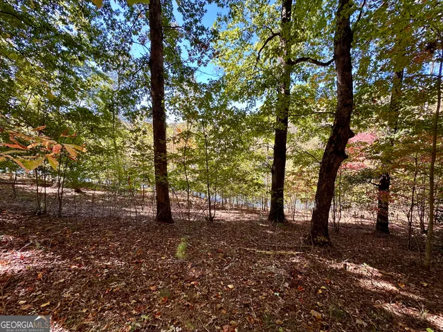 $299,000 | 0 Forked Leaf Road, Unit 29, Cleveland, GA 30528