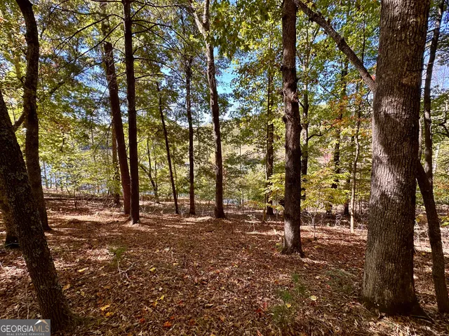 $299,000 | 0 Forked Leaf Road, Unit 29, Cleveland, GA 30528