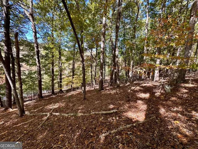 $299,000 | 0 Forked Leaf Road, Unit 29, Cleveland, GA 30528