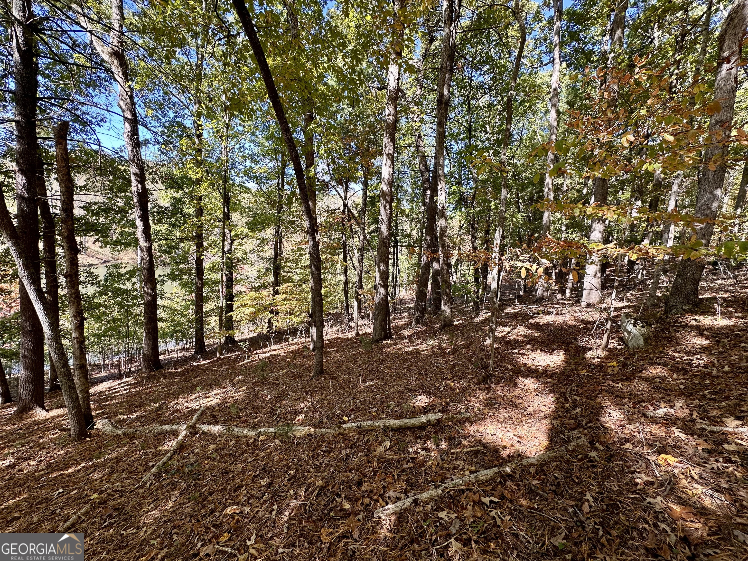 0 Forked Leaf Road, Unit 29 Cleveland, GA 30528 - Photo 14 of 39 a view of outdoor space with deck and tree