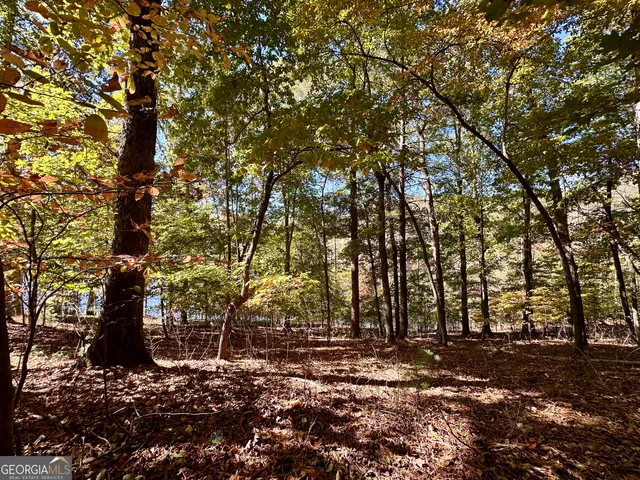 $299,000 | 0 Forked Leaf Road, Unit 29, Cleveland, GA 30528