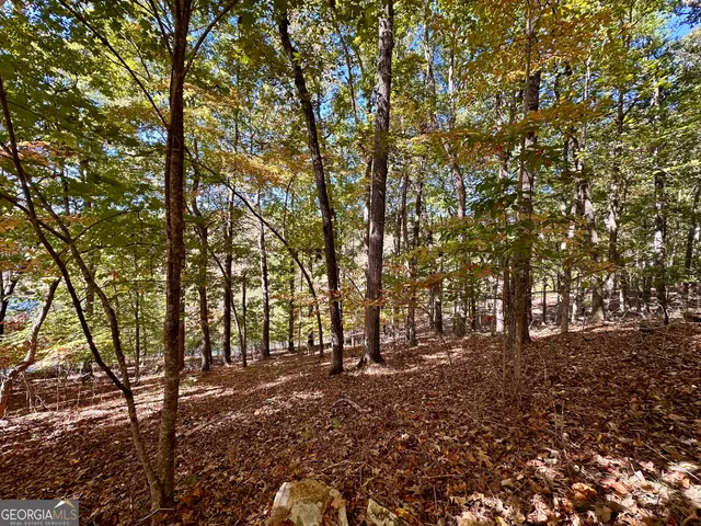 $299,000 | 0 Forked Leaf Road, Unit 29, Cleveland, GA 30528