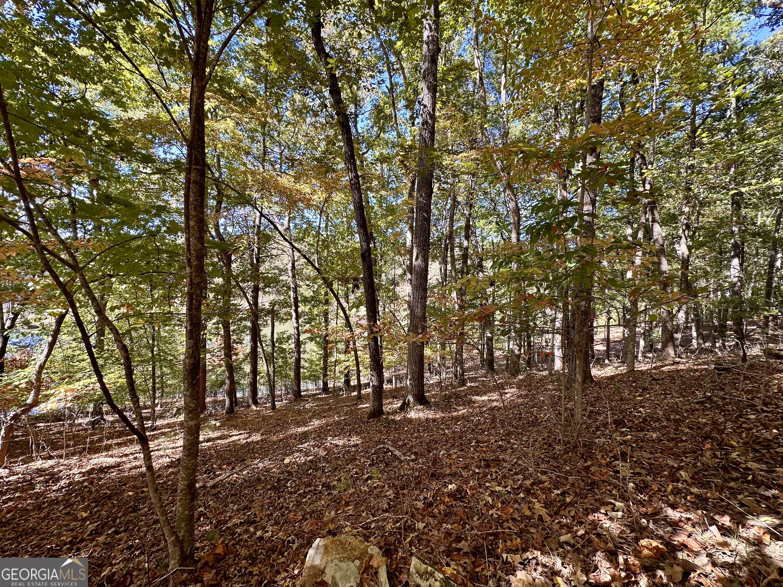 0 Forked Leaf Road, Unit 29 Cleveland, GA 30528 - Photo 16 of 39