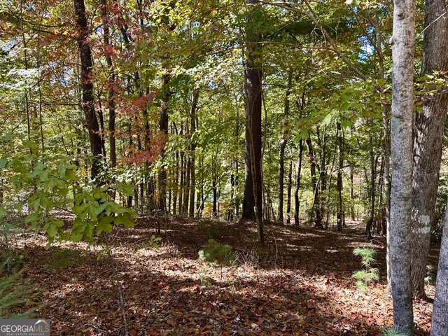 $299,000 | 0 Forked Leaf Road, Unit 29, Cleveland, GA 30528