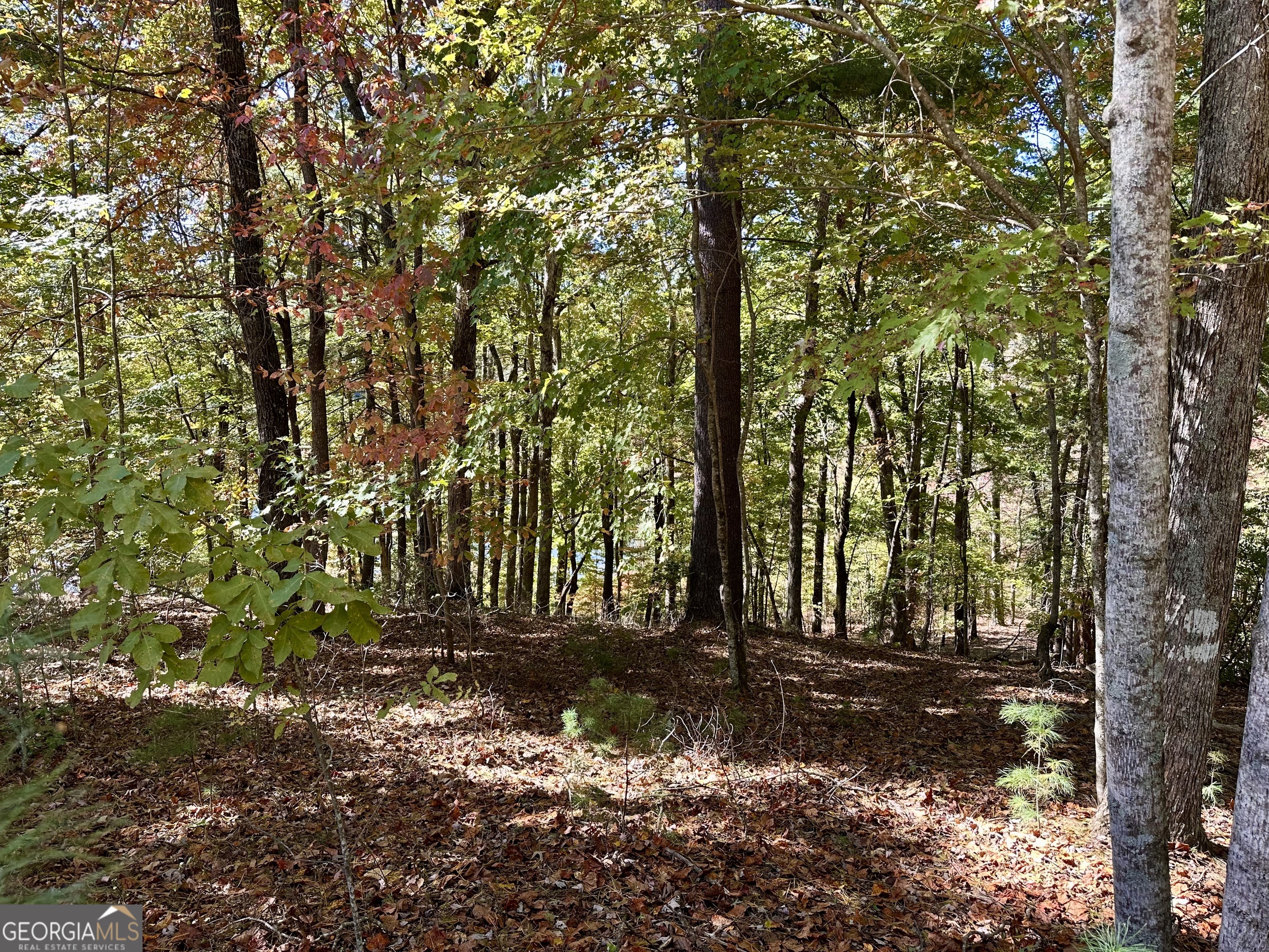 0 Forked Leaf Road, Unit 29 Cleveland, GA 30528 - Photo 17 of 39