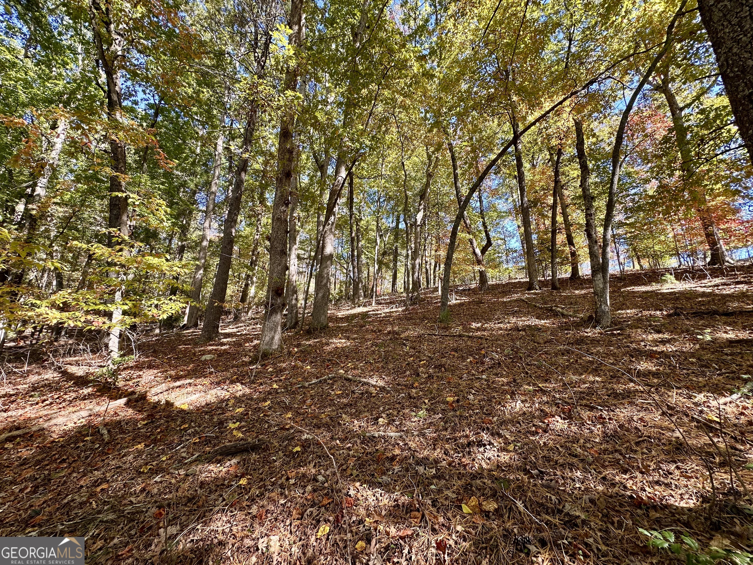 0 Forked Leaf Road, Unit 29 Cleveland, GA 30528 - Photo 18 of 39 a view of outdoor space with trees