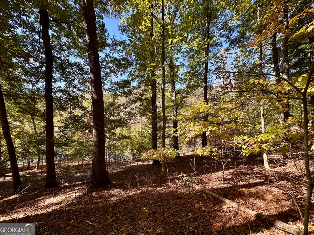 $299,000 | 0 Forked Leaf Road, Unit 29, Cleveland, GA 30528