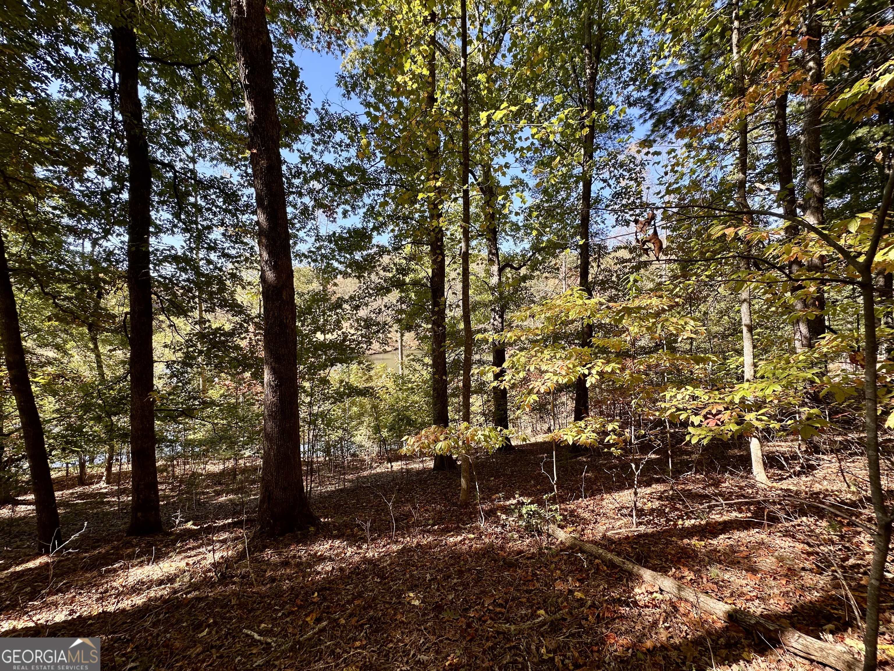 0 Forked Leaf Road, Unit 29 Cleveland, GA 30528 - Photo 19 of 39