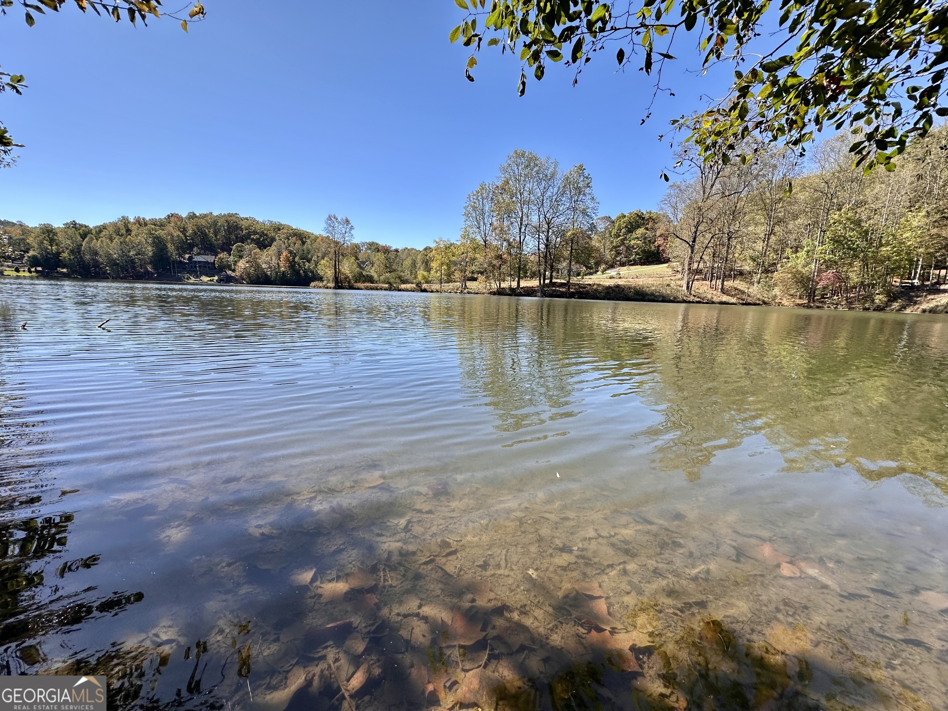 0 Forked Leaf Road, Unit 29 Cleveland, GA 30528 - Photo 2 of 39 a view of a lake with houses
