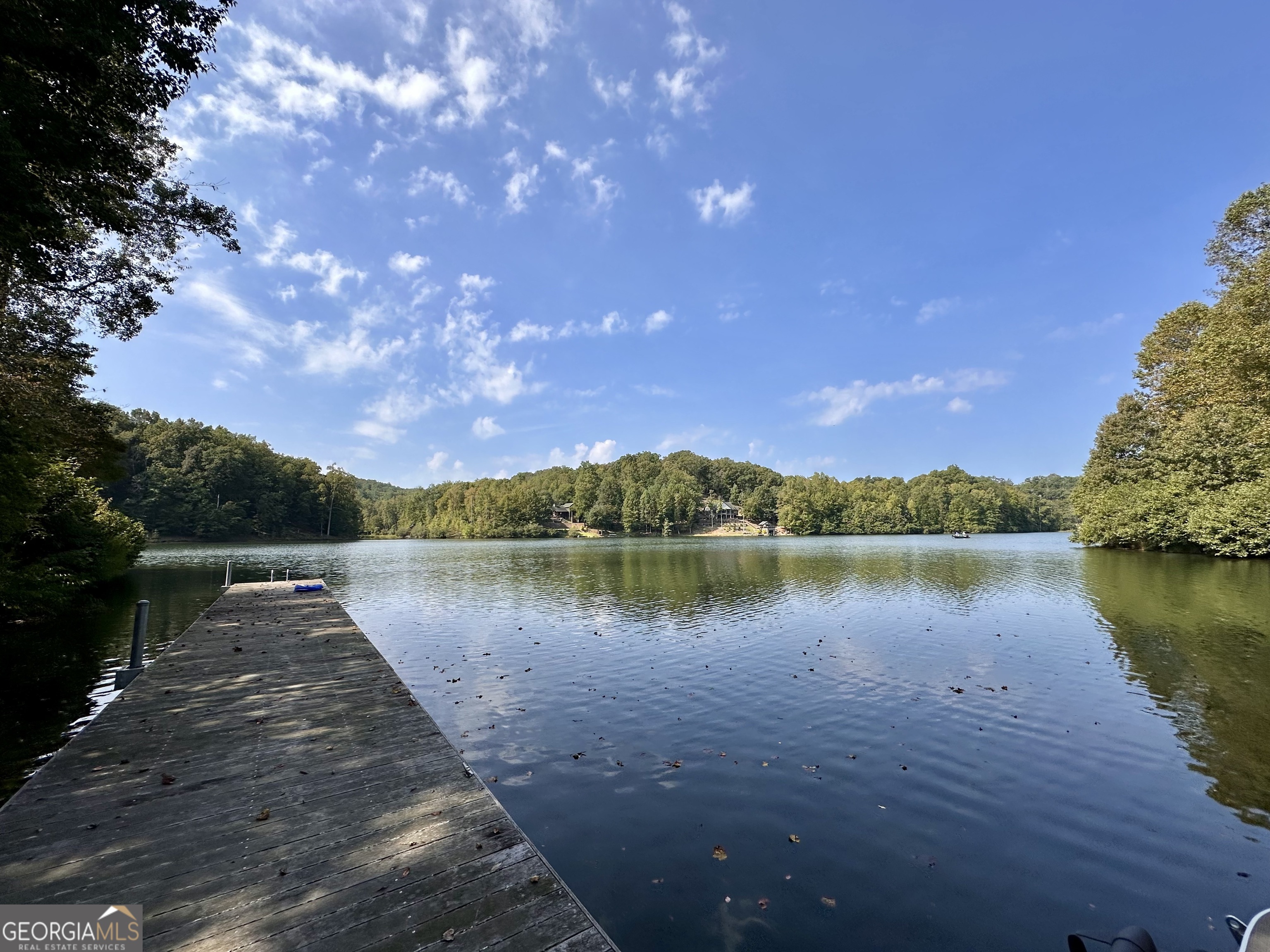 0 Forked Leaf Road, Unit 29 Cleveland, GA 30528 - Photo 29 of 39