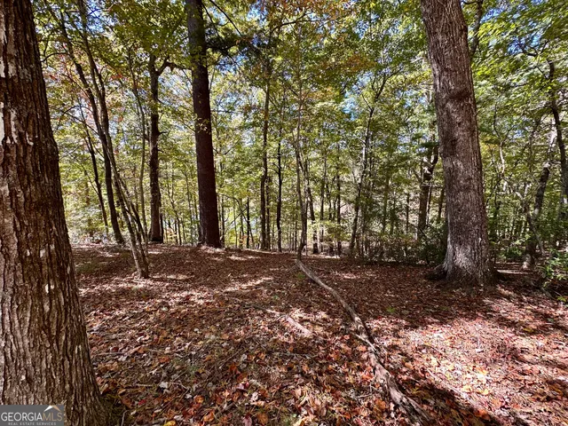 $299,000 | 0 Forked Leaf Road, Unit 29, Cleveland, GA 30528